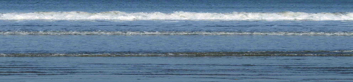 wp8d6c93c3_0f.jpg